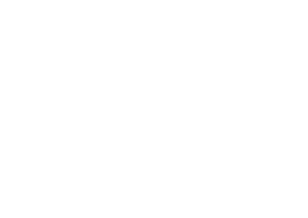 RAY Immo